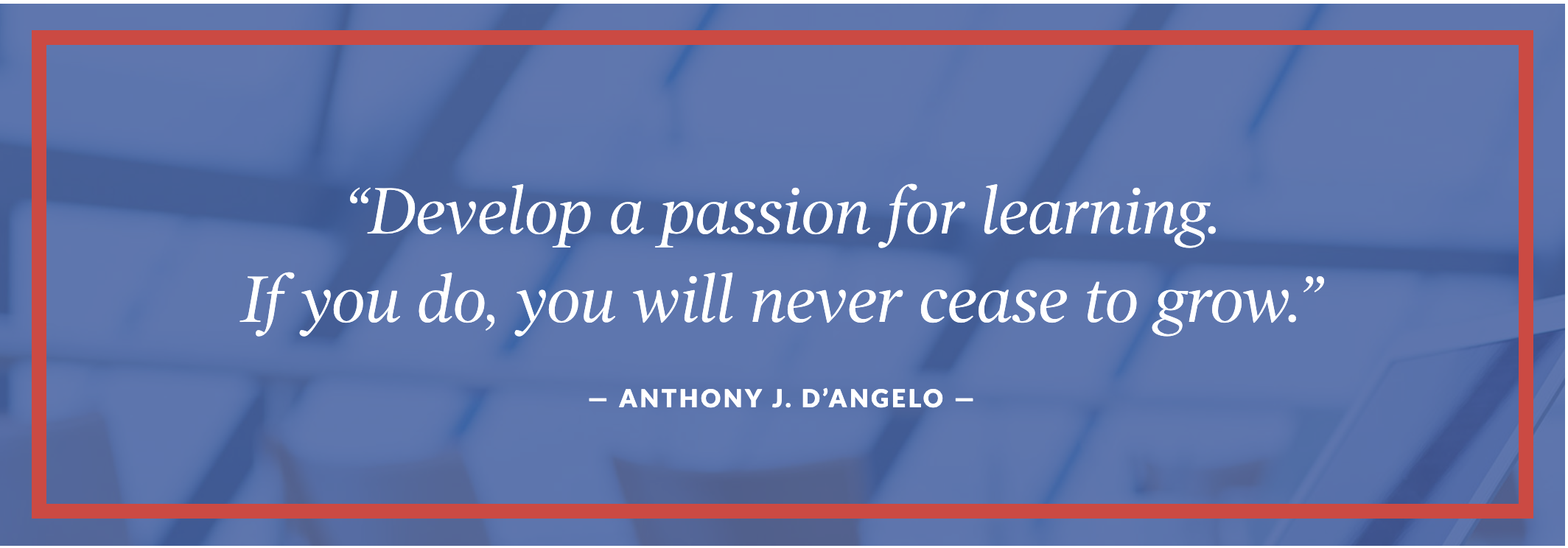 Anthony D'Angelo Quote